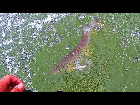 ЭТО ЧУДОВИЩЕ! РАЗВЕ ТАКОЕ ВОЗМОЖНО!? Рыбалка на мормышку и жерлицы 2024.