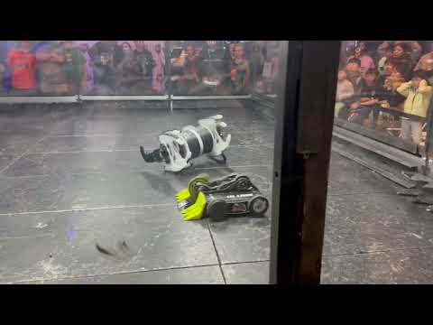 Lil Lash vs Pepe Sylvia - Featherweight Finals RCL Nationals