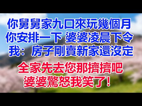 “你舅舅家九口來玩幾個月，你安排一下。”婆婆凌晨下令。我：房子剛賣新家還沒定，全家先去您那擠擠吧，婆婆驚怒我笑了！