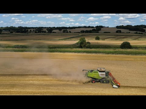 EU will Gentechnik-Regeln lockern