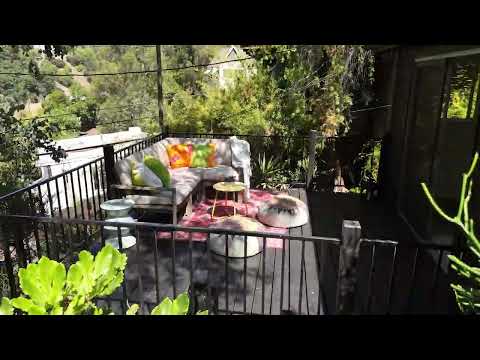 338 Crane Daylight Video