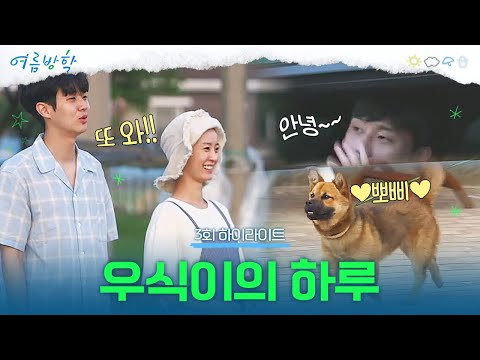 [3회 하이라이트] 굿바이, 서준! & 우식이의 뽀삐 사랑🐾 | #여름방학