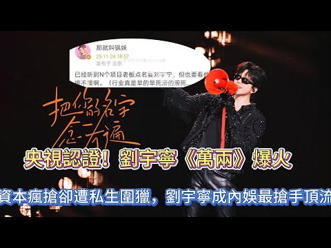 央視認證！劉宇寧《萬兩》爆火，資本瘋搶卻遭私生圍獵，劉宇寧成內娛最搶手頂流！#劉宇寧#劉宇寧前妻#