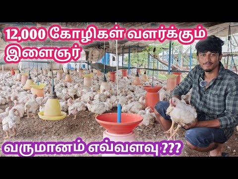 Broiler Chicken Forming Business | கோழி பண்ணையில் உள்ள ரகசியங்கள் | @கால்நடை தோழன் | பிராய்லர் கோழி