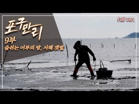 꽃게, 뻘낙지; 석양이 아름다운 충남 서천, 태안 포구_포구만리 9부 Full.ver