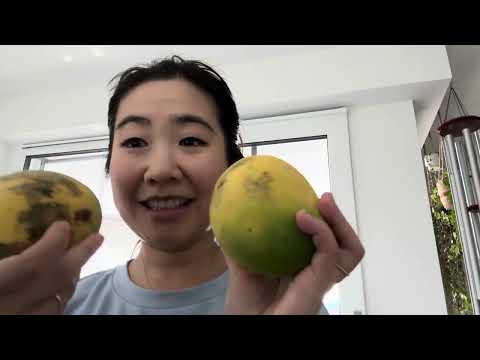 Nori Unscripted: Too Good To Go surprise bag reveal!