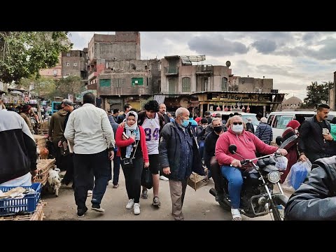 سوق الجمعة بالسيدة عائشة || اغرب سوق في مصر بالاسعار تعابين تعالب تماسيح صقور حرابي نسانيس حداية بوم
