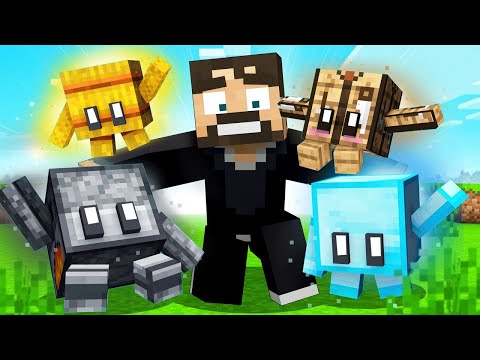 Blocks are Pets in Minecraft