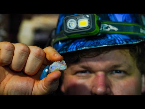 Opal Miners Discover Rare 100 Million Year Old Specimen!