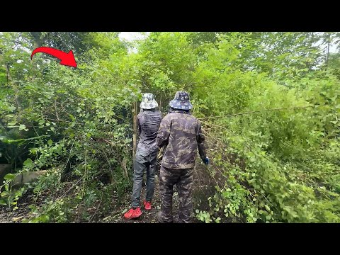 Behind the bush is the house cleaning and washing is necessary ASMR quick video