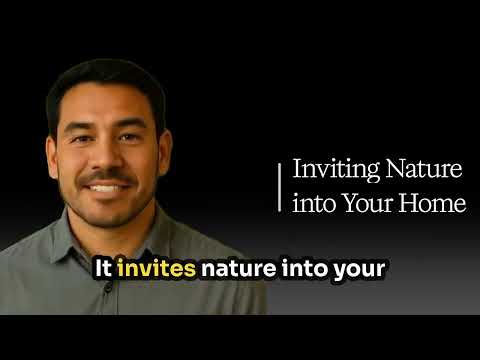 Indoor-Outdoor Flow Concept