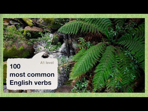 100 Most Common English Verbs A1 | Relaxing Australian Forest Ambience for Sleep or Study