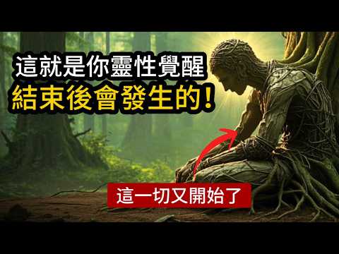 天選之人，這就是在你靈性覺醒結束後會發生的奇怪事情...（這一切又開始了）