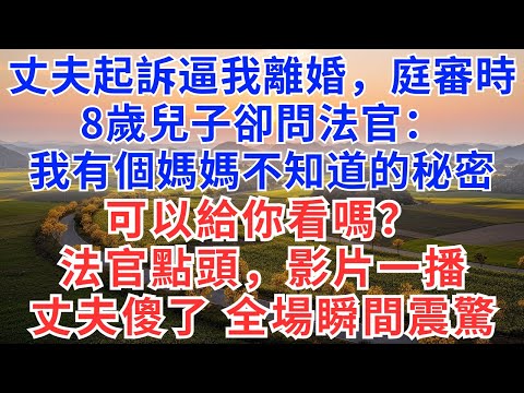 丈夫起訴逼我離婚，庭審時8歲兒子卻問法官：我有個媽媽不知道的秘密可以給你看嗎？法官點頭，影片一播，丈夫傻了，全場瞬間震驚！#情感故事#故事#小說#戀愛#情感#婚姻