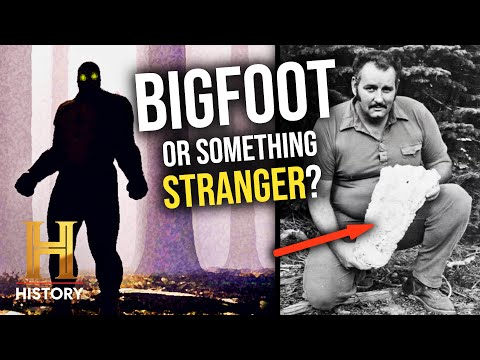 4 Eyewitness Stories of Bigfoot Sightings | The Proof Is Out There | History