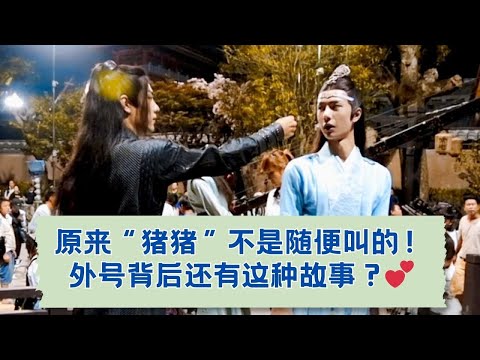 意想不到的外号？原来“猪猪”这个称呼是这么来的！🐽 10-08-2018