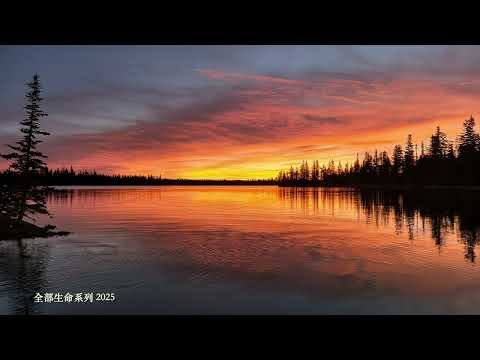 楊定一：醒覺可以註定嗎？