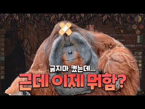 굶지마, 뭘 해야 하냐고요?
