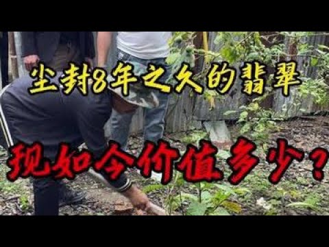 尘封8年之久的翡翠，现如今价值多少？#翡翠 #翡翠手镯 #翡翠原石 #缅甸翡翠 @DOU+小助手 @抖音小助手