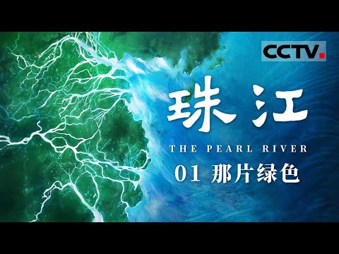 《珠江》01 那片绿色：一条江的名字 寄托着一座城市的遐想 看广州这个千年商都的发展变化【CCTV纪录】