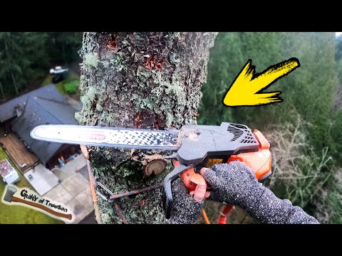 20 YEARS of Tree Work and We Have Never Seen This Happen! - Rotten Cedar & Fir Job