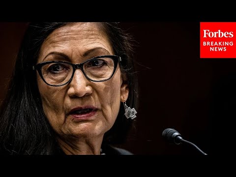 Deb Haaland Grilled About Opposition To 'Traditional Ammunition' By GOP Lawmaker