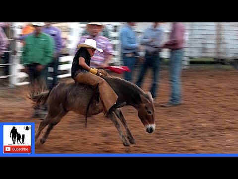 Donkey Riding 🤘 2021 Saint's Roost Ranch Rodeo | Saturday