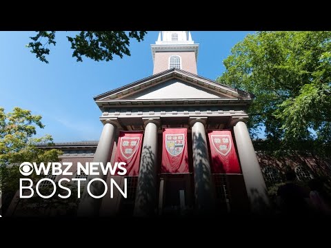Pentagon will cut ties with Harvard University in fall of 2026 and more top stories