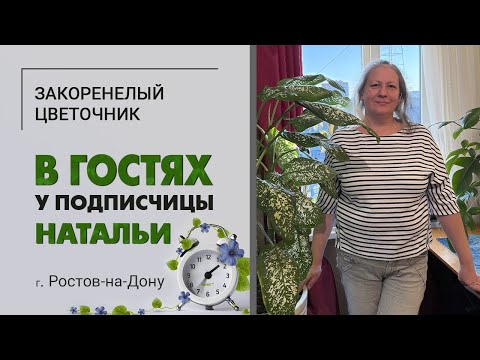 Visiting Natalia in Rostov-on-Don. Very unusual succulents, an interesting plant collection.