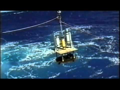 the wave that shook the world