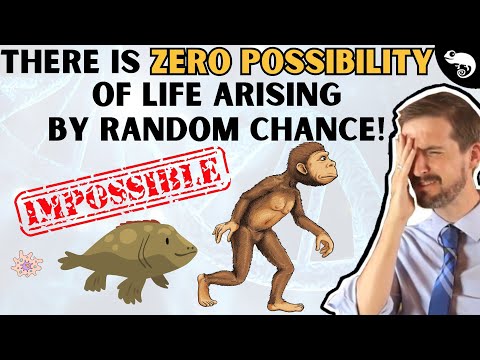 Evolutionary Biologist Reacts to Creationist Arguments