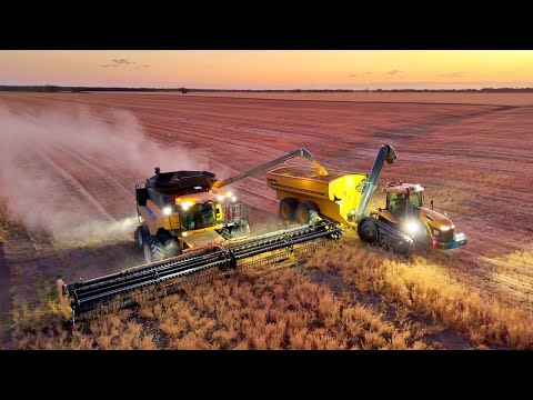 Harvest in Australia | Drone Compilation | Amazing sunsets