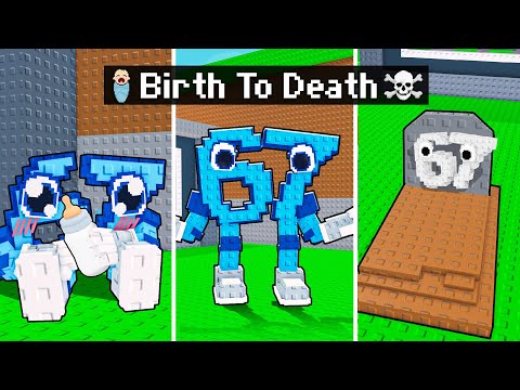 BIRTH To DEATH in Steal a Brainrot!