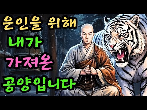 👌잠자기전 듣는 옛날이야기(중간광고없음) | 🐯스님 은혜 갚으려 멧돼지를 바치던 호랑이, 그가 인간 아이로 돌아왔다고요? | 야담 | 설화 ㅣ전설 | 오디오북 | 민담
