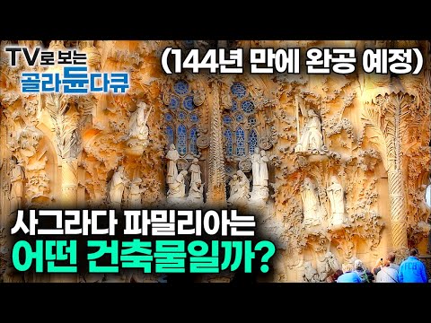 천재 건축가 안토니오 가우디의 역작! 사그라다 파밀리아는 어떤 건축물일까?┃설명해 드립니다 '가우디 설계의 철학과 과학'┃스페인 바르셀로나┃다큐프라임┃#골라듄다큐