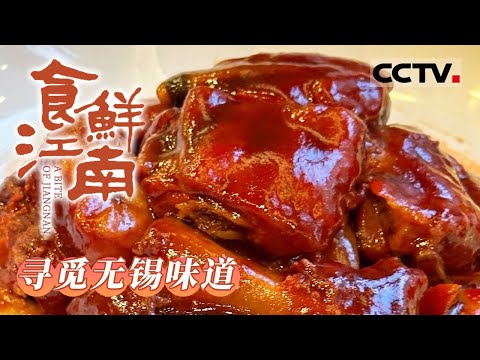 寻访舌尖上的江南滋味 探索美食中的城市记忆 以“食”为鲜活纽带 开启一场美食之旅！《食鲜江南》【CCTV纪录】