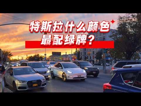 特斯拉选什么颜色最配绿牌？