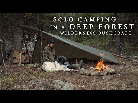 Solo Camping in the Wilderness - Deep Forest Bushcraft, Tarp Shelter, Camp Cooking, etc