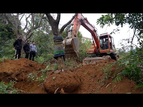 Fan cứng tặng cây hồng 35 năm tuổi đã về đến Nhà Sàn Gái Bản vui quá