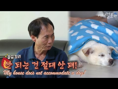 My Father Was Against Keeping a Dog in the House