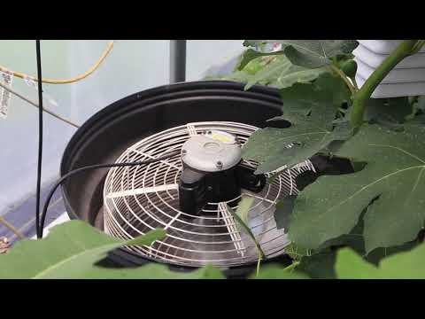 Climate Battery Greenhouse - Gray House Intro - Our Fig House