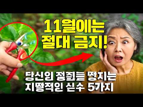 11월에는 절대 금지! 당신의 정원을 망치는 치명적인 실수 5가지