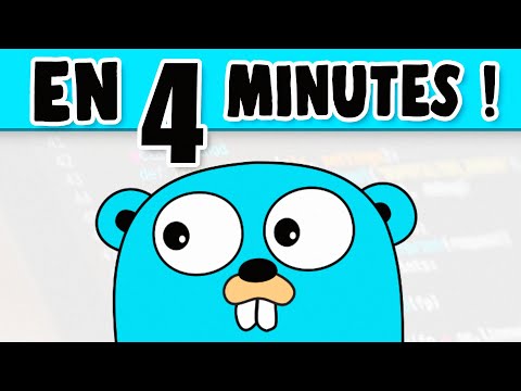 Le Langage Go expliqué en 4 Minutes