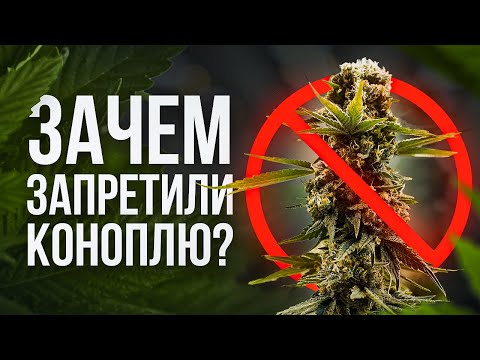 КОНОПЛЯ - Сельхозкультура №1 в СССР и Российской Империи. КТО ЕЁ ЗАПРЕТИЛ? - Документальный фильм