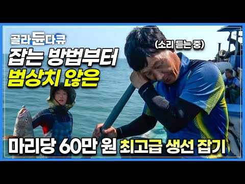 ‘비싼 건 kg에 10만 원’ 딱 한 철만 잡히는 귀한 생선 만선하러 가보자!│냅다 바다 소리를 듣는 선장님? 잡는 방법부터 범상치 않은 최고급 생선│민어잡이│극한직업│#골라듄다큐