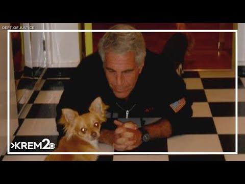 Trump DOJ releases more Epstein files overnight