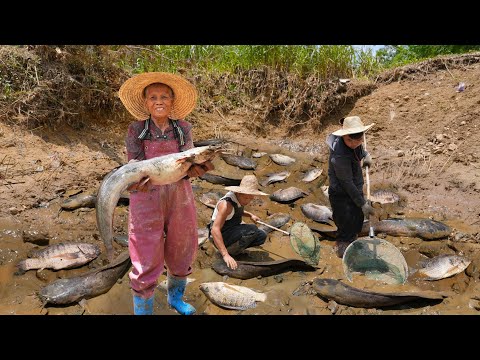 Catching 200 kilograms of wild catfish to make traditional Chinese cuisine｜玉林阿婆