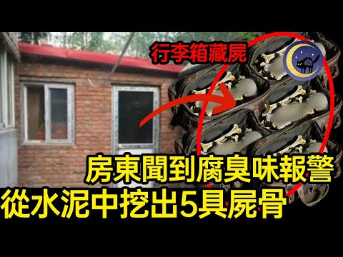 房東聞腐臭報警，從地板挖出5具白骨😱兇手逃亡期間用假身份娶2妻… 震驚中國的水泥藏屍案