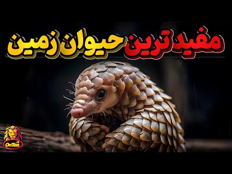 مفید ترین جانداران زمین