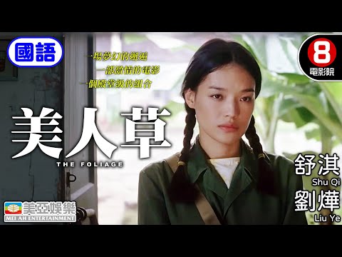 性感女神舒淇 中國型男劉燁 合力演出細膩愛情故事｜美人草 (Cutie Grass)｜舒淇｜劉燁｜房斌｜國語中字｜ENGSUB｜8號電影院 HK Movie｜美亞